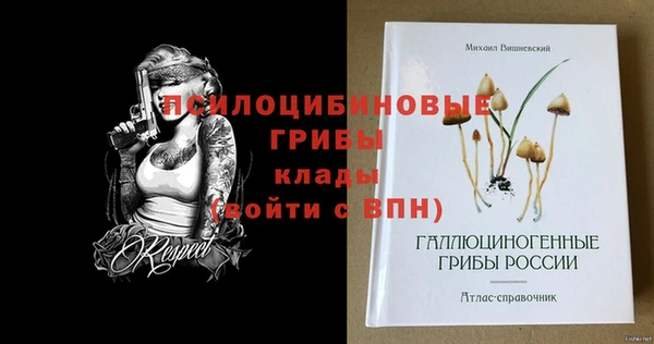 apvp Белокуриха