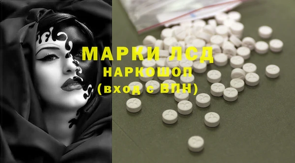ПСИЛОЦИБИНОВЫЕ ГРИБЫ Белоозёрский