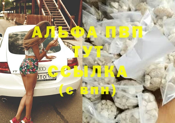 apvp Белокуриха