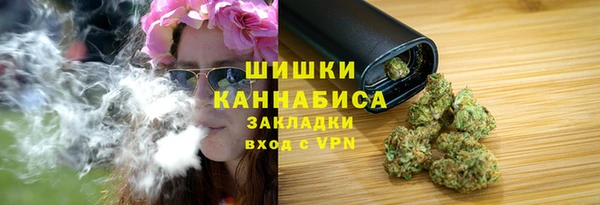 ПСИЛОЦИБИНОВЫЕ ГРИБЫ Белоозёрский