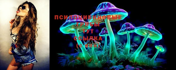 ПСИЛОЦИБИНОВЫЕ ГРИБЫ Белоозёрский