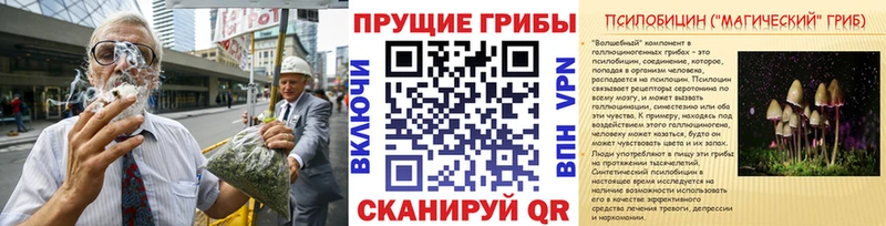 Галлюциногенные грибы ЛСД цены наркотик Туран